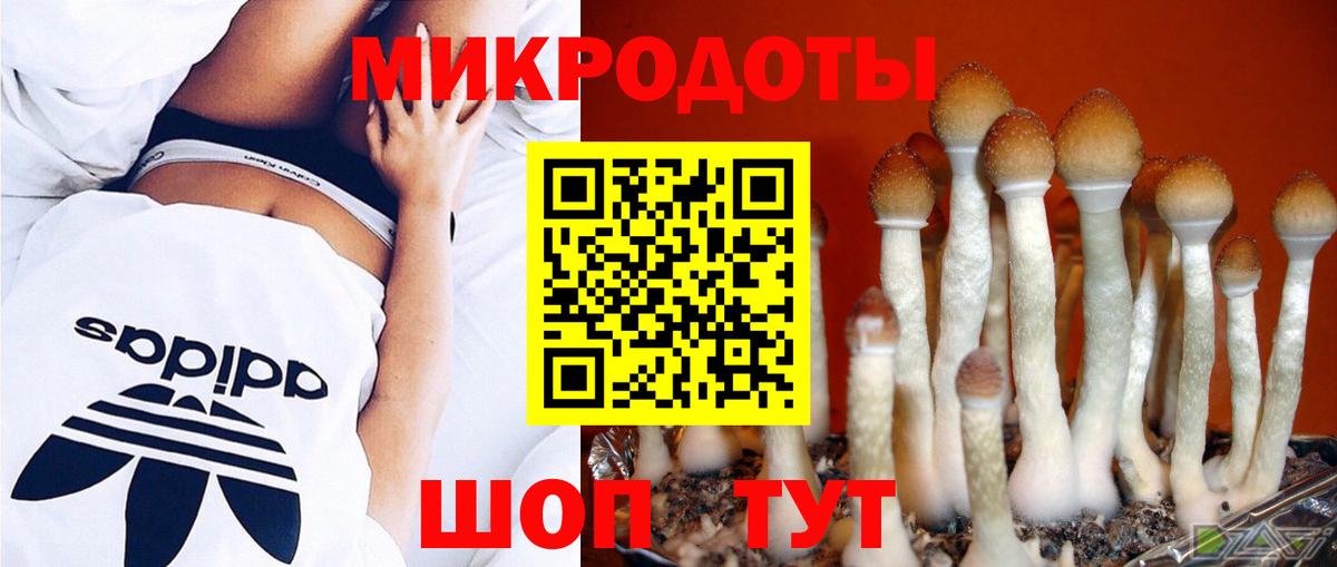 Галлюциногенные грибы мицелий  Вход с VPN  купить  сайты  Белгород 